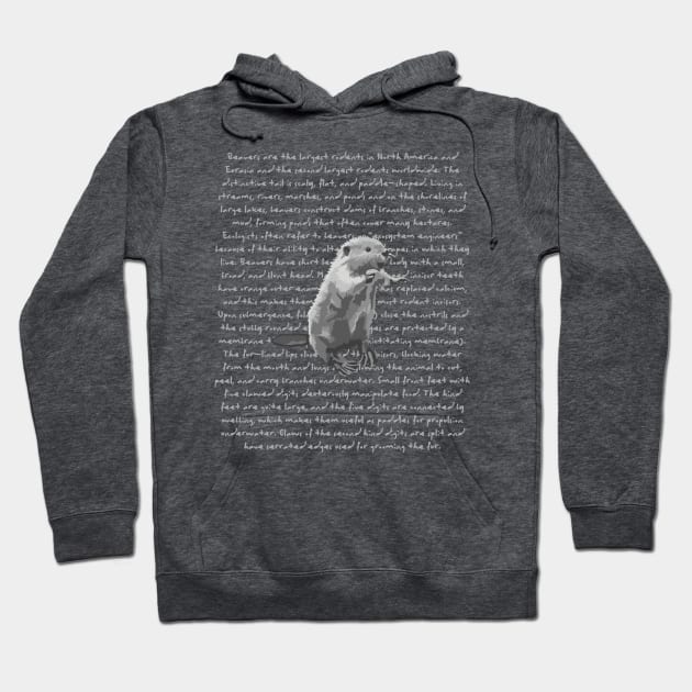 Beaver Info Hoodie by Slightly Unhinged